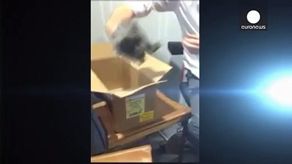 محطة اذاعية دنماركية تدافع عن قتل مذيع لارنب على الهواء