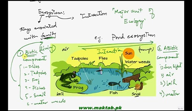 FSc Biology Book2, CH 25, LEC 1; Introduction Ecosystem and Ecology