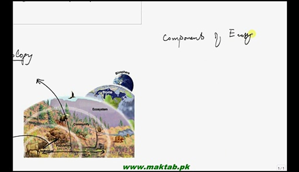 FSc Biology Book2, CH 25, LEC 2; Autecology, Syncology, Biotic and Abiotic Component of ecosystem