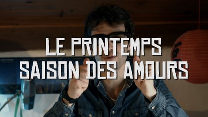 Le printemps la saison des amours ? TOUT COMPRENDRE !