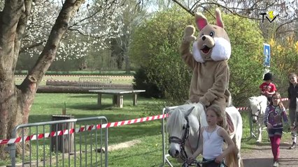 Printemps en fête - Édition 2015