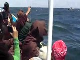 Contacto con la ballena Gris en La Laguna de San Ignacio BCS