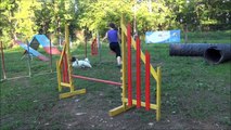 AGILITY TRAINING with my perfect crazy dogs- ENERGY, MINU and NISHA