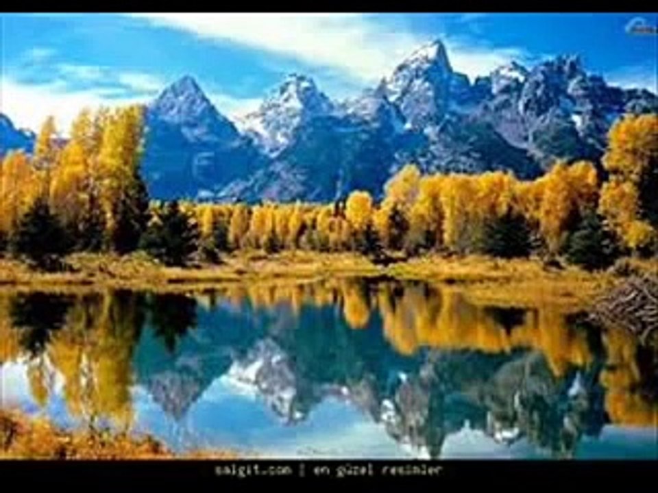 dinlendirici doğa fon müziği -rahatlatıcı ve sürükleyici