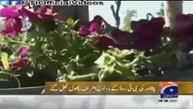 KP Govt is once again changing Peshawar city into the city of flowers