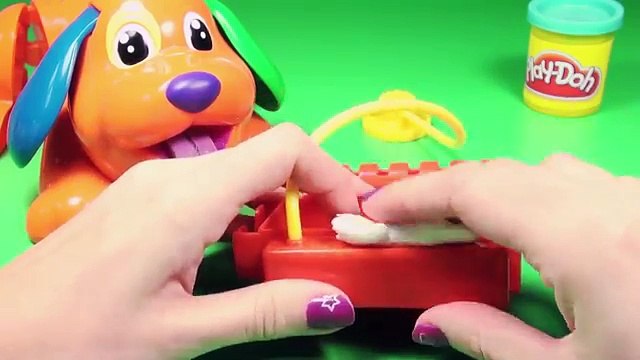 Play-Doh Doggy Doctor Puppy Playset Play Doctor with Puppies Play Dough by Unboxingsurpriseegg