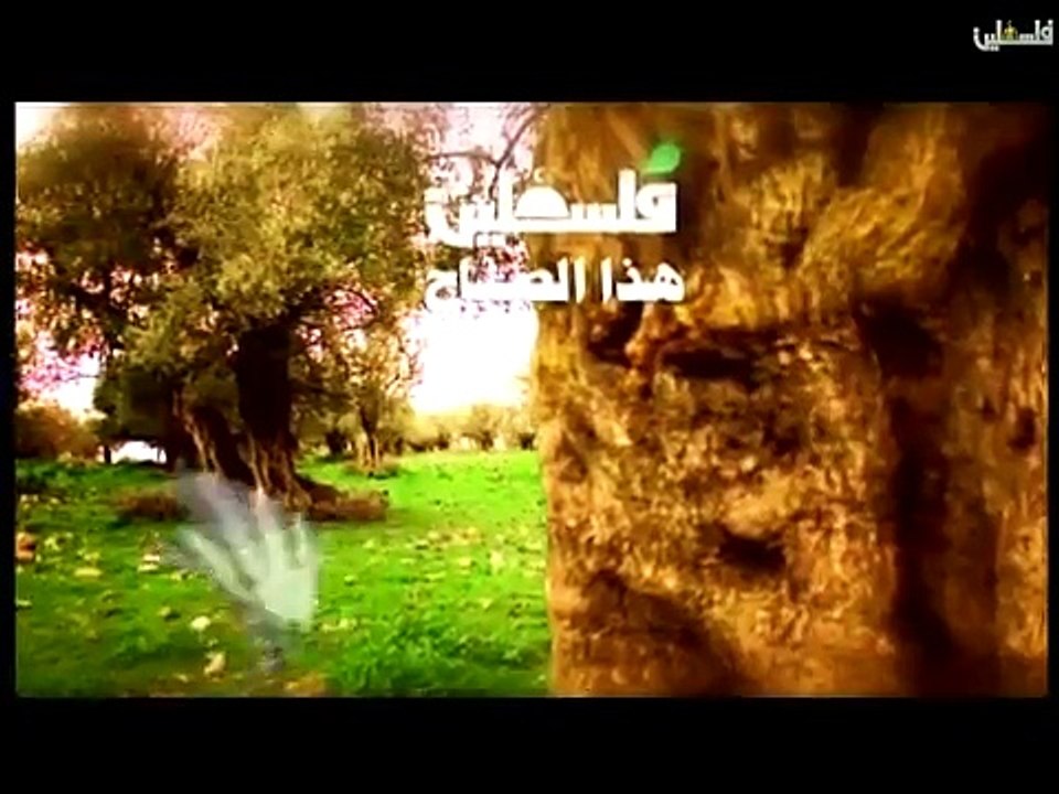 هذا الصباح - الاربعاء 27-5-2015  الجزء الاول