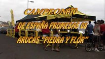 CAMPEONATO  DE ESPAÑA PROMESAS 08.ARUCAS PIEDRA Y FLOR