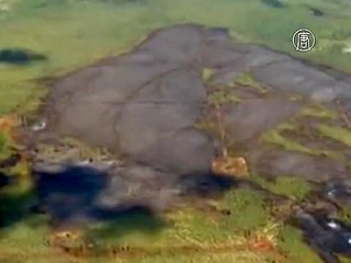 Из-за лесных пожаров в Канаде эвакуируют нефтяников