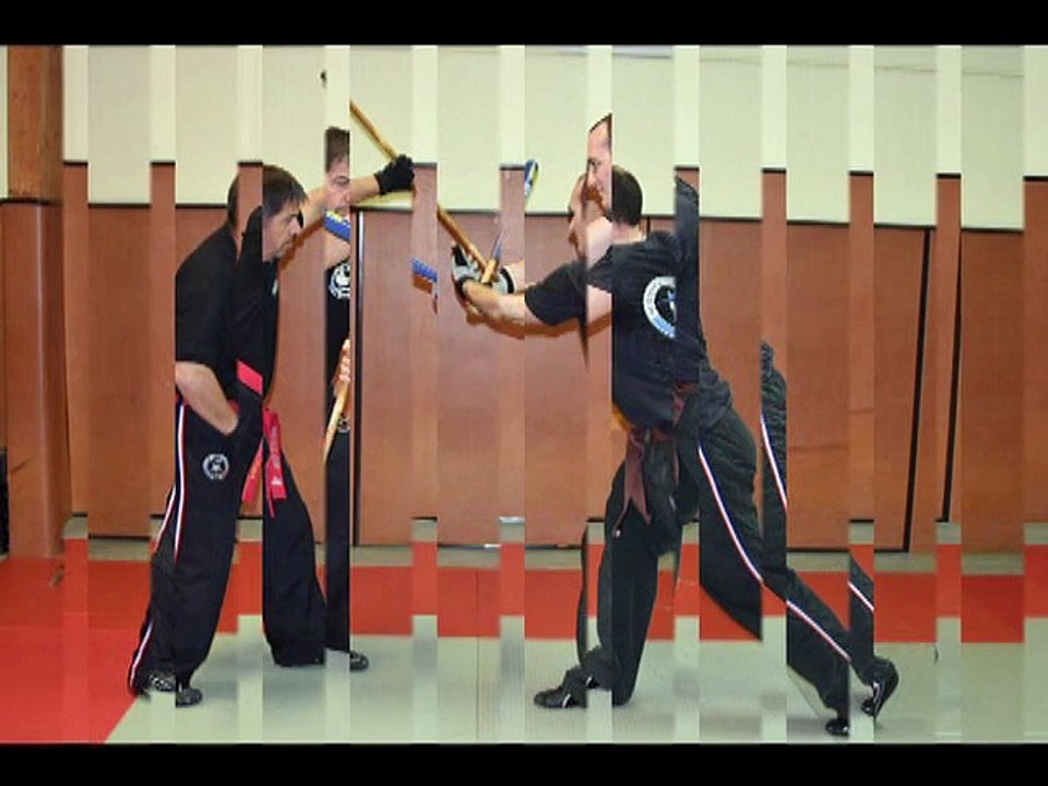 CANNE DEFENSE JACQUES LEVINET