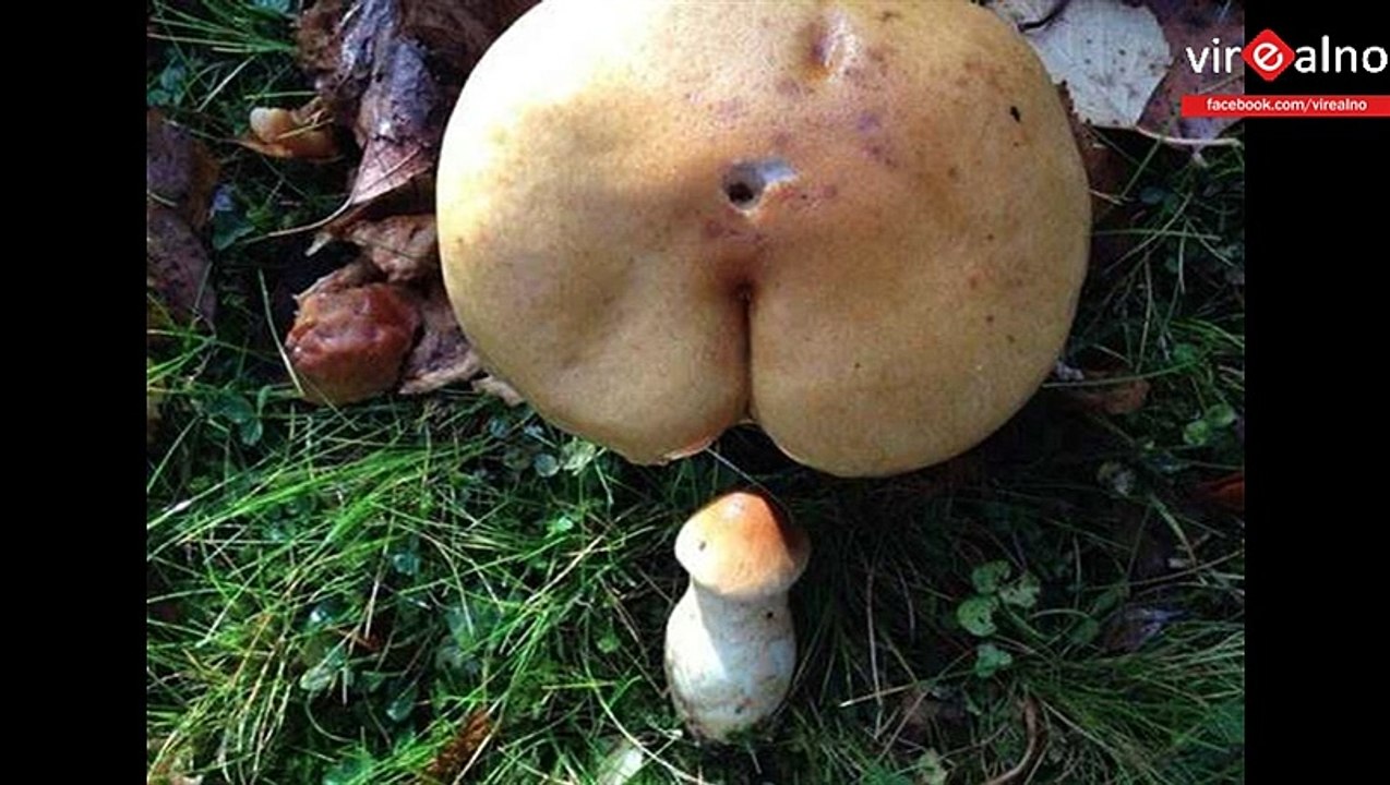 14 Perfectly Timed Photos Pt7