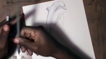 Drawing a 3D Dolphin - ILLUSION DRAWING TRICK!