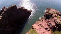 Dolphins filmed from above at the Arbroath cliffs