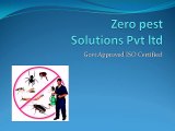 Zero pest Solutions Pvt ltd ...