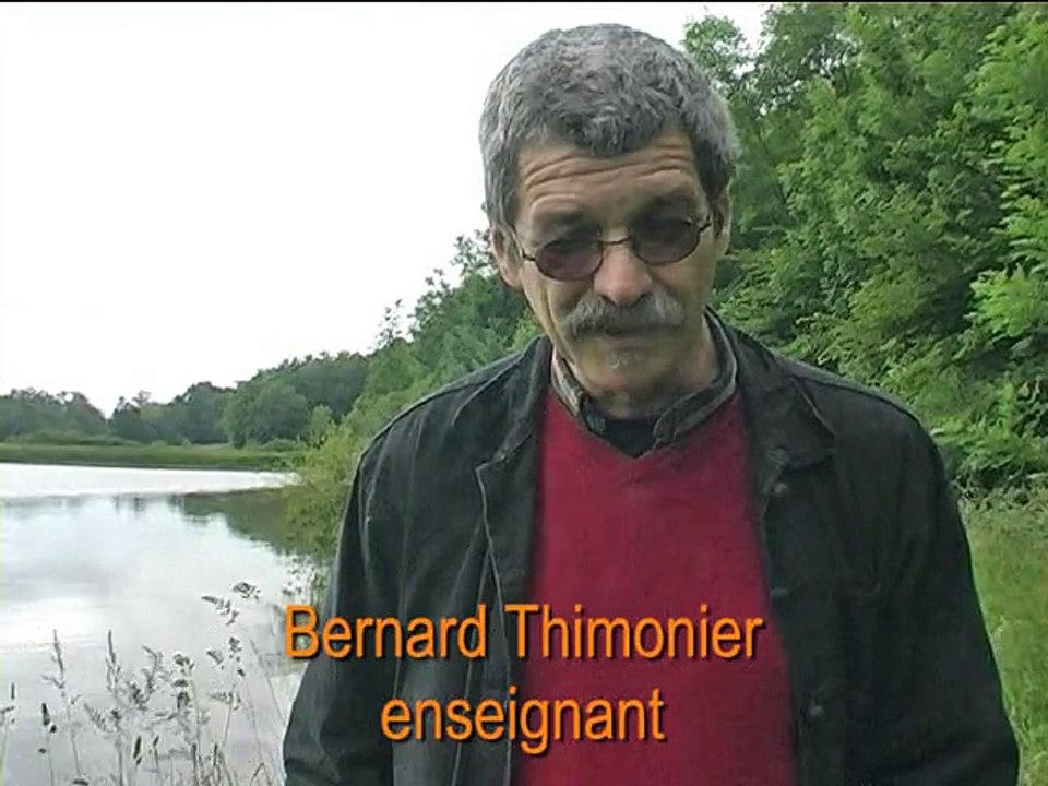 vic_etang_grenouilles_2015