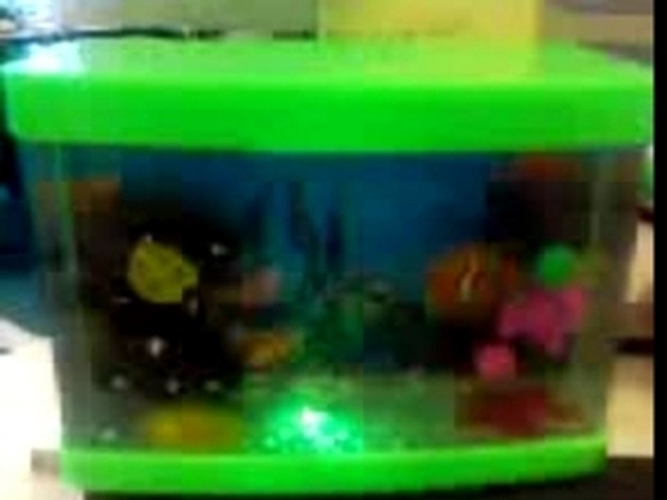 Mon aquarium...
