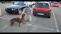 Hund sieht sein Besitzer nach 2 Jahren wieder