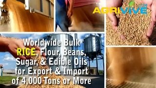 Bulk Rice Import, Rice Import, Rice Import, Rice Import, Rice Import, Rice Import, Rice Import
