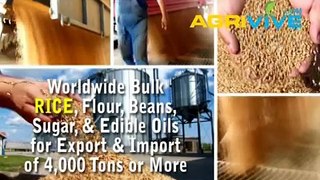 American Wholesale Rice Export, Rice Export, Rice Export, Rice Export, Rice Export, Rice Export, Rice Export