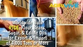 American Wholesale Rice Trade, Rice Trade, Rice Trade, Rice Trade, Rice Trade, Rice Trade, Rice Trade