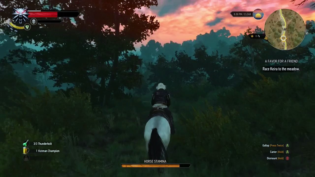 The Witcher 3 - Kiera Metz