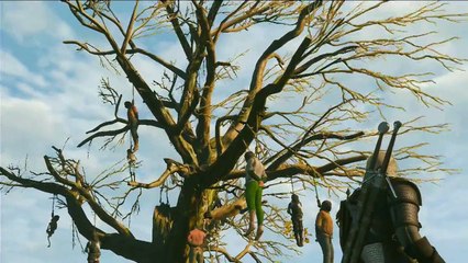 The witcher Wild hunt, parte 10, Buscando Pistas en Velen
