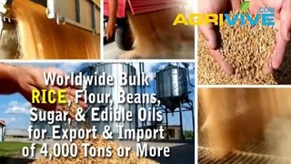 American Wholesale Rice Trading, Rice Trading, Rice Trading, Rice Trading, Rice Trading, Rice Trading, Rice Trading