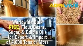 Buy USA Bulk Wholesale Bulk Rice, Bulk Rice, Bulk Rice, Bulk Rice, Bulk Rice, Bulk Rice, Bulk Rice, Bulk Rice