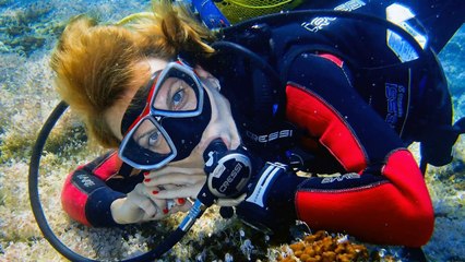 2012.06 Sithonia June