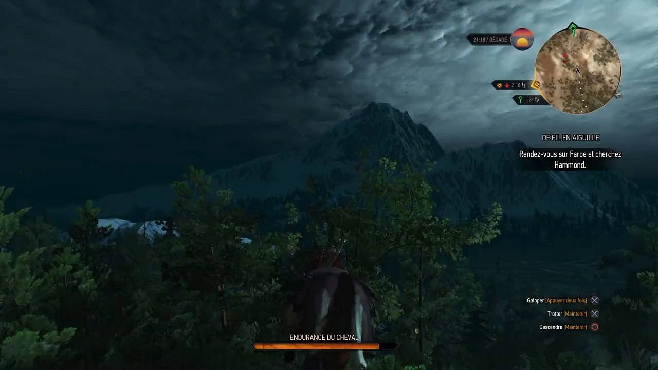 The Witcher 3:Super Cheval