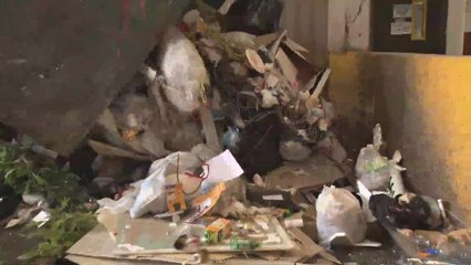 France bans grocery stores from throwing away perfectly good food