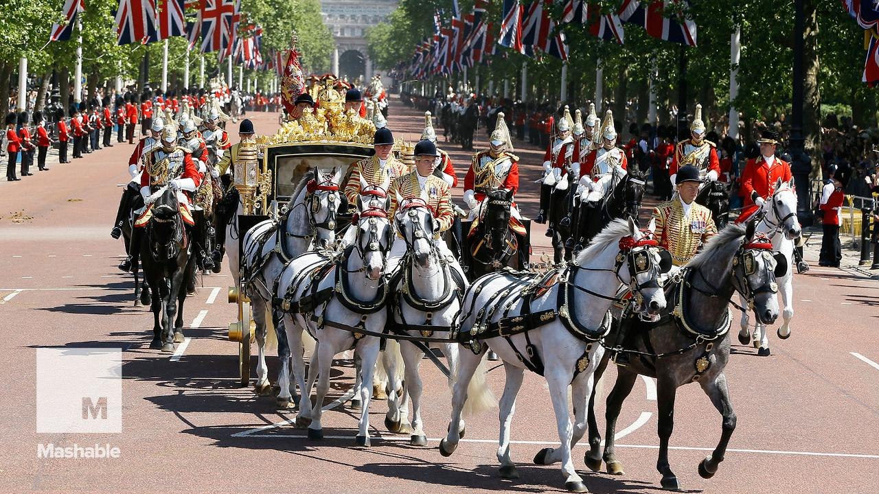UKIP MP Periscopes Queen's Arrival