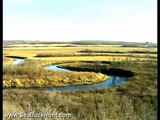 Sea Duck hunting for Eider with   SeaduckHunt.com and Browning's Best 1