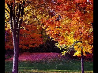 Jeff Lynne  September song