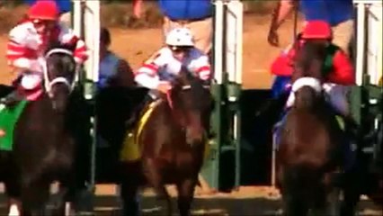Racehorses ~ If I Die Young