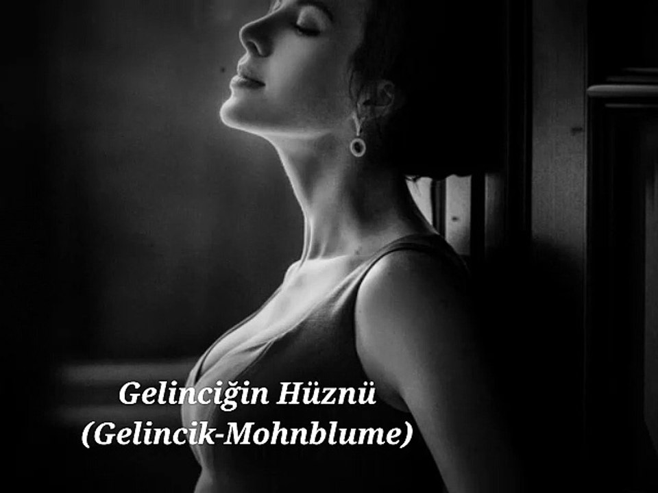 Edip Akbayram - Aldırma Gönül / Gelinciğin Hüznü (Gelincik-Mohnblume)