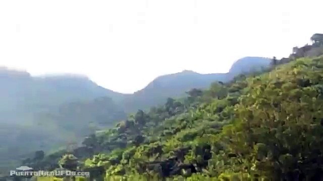 OVNI Capturado En Video En EL Yunque, Puerto Rico
