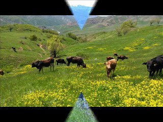 DENGBEJİ AYŞEŞAN ZERİ HAYRAN U.H VİDE KLİP 2015