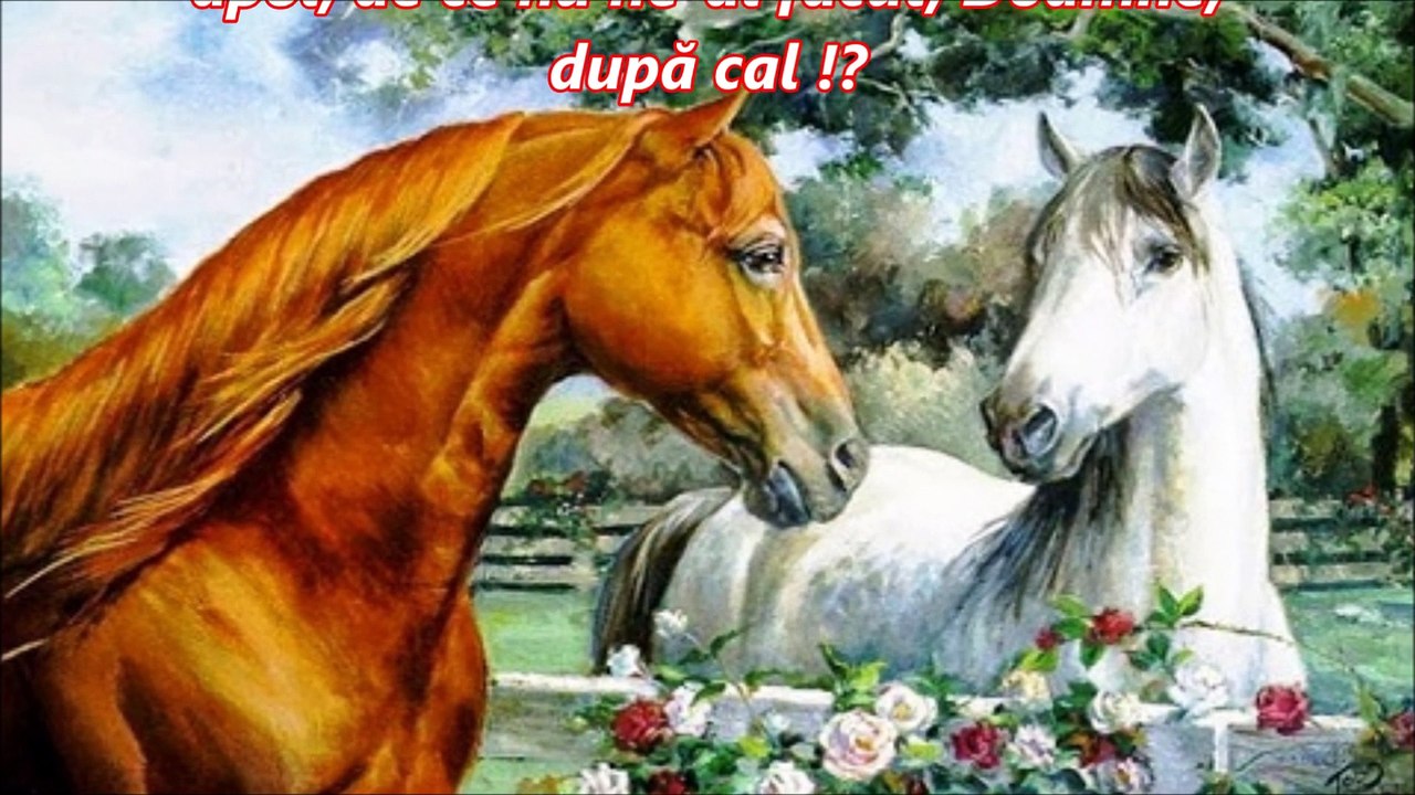 ~ Caii ~