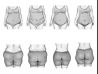 What Body Type and Belly Shape Are You?  How Hormones Distort The Way Look