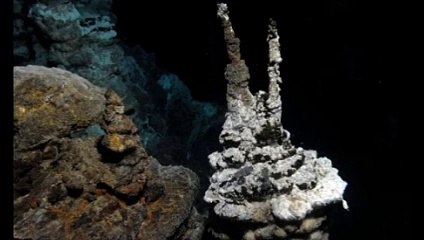 Le chaînon manquant dans l'évolution de la vie aurait été découvert