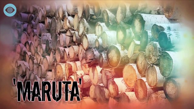 Tod und Quälerei - Die Kriegsverbrechen der Einheit 731