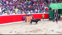 Three gored in Peruvian bull run