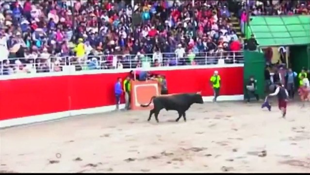 Three gored in Peruvian bull run