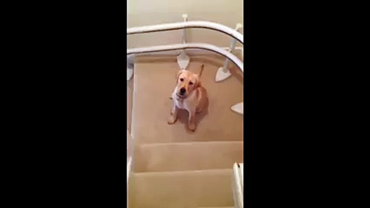 Come down is so easy