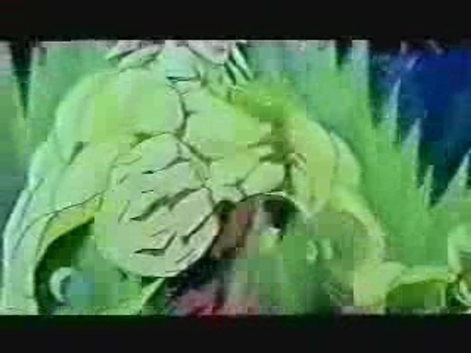 Sangoku Contre Broly