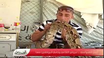 تلفزيون القدس مع صائد الثعابين الفلسطيني جمال العمواسي