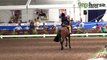 www.tophorse.com.au - Equestrian Australia Show Horse & Rider Championships - Small Pony