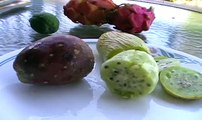 Why Eat Cactus Fruit (Prickly Pear)?