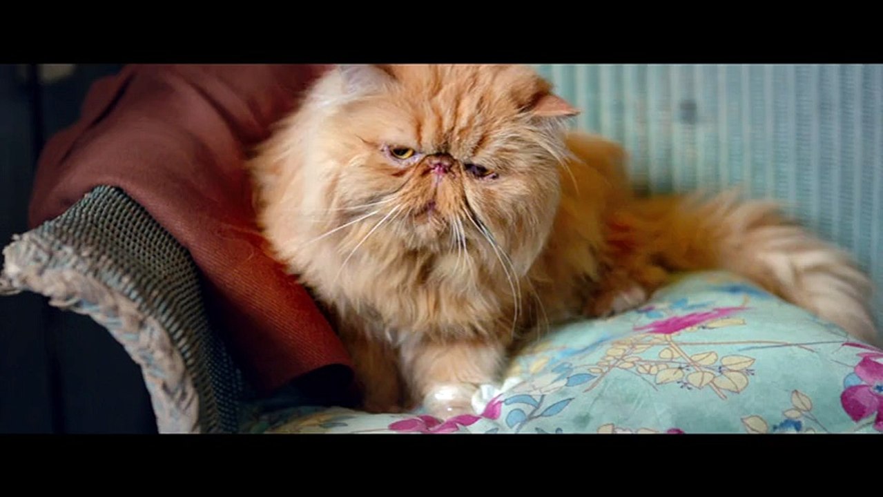 Toute première fois Bande-annonce VF